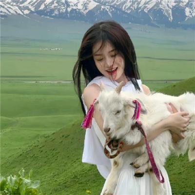 狂奔天涯海报